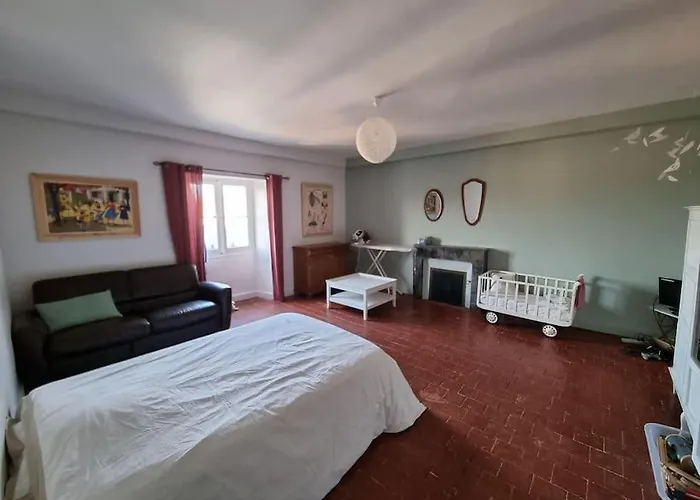 Grande Maison Familiale Plein Centre Vieux